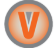 Vetted through Virtual logo